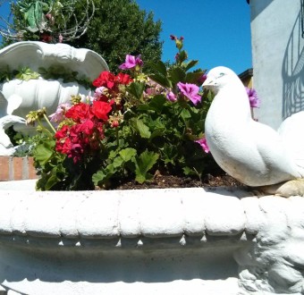 dettagli_25.06.201522