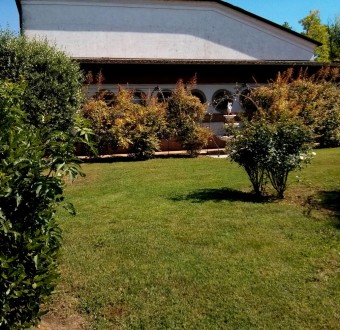 dettagli_26.06.201507