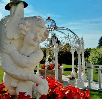 dettagli_26.06.201515